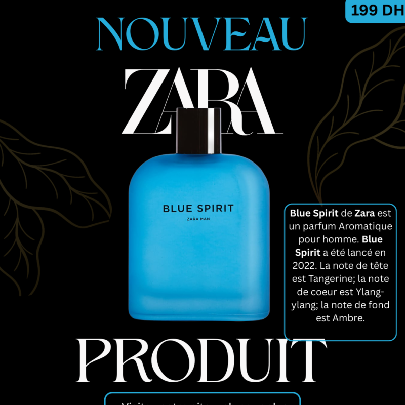 ZARA BLUE SPIRIT